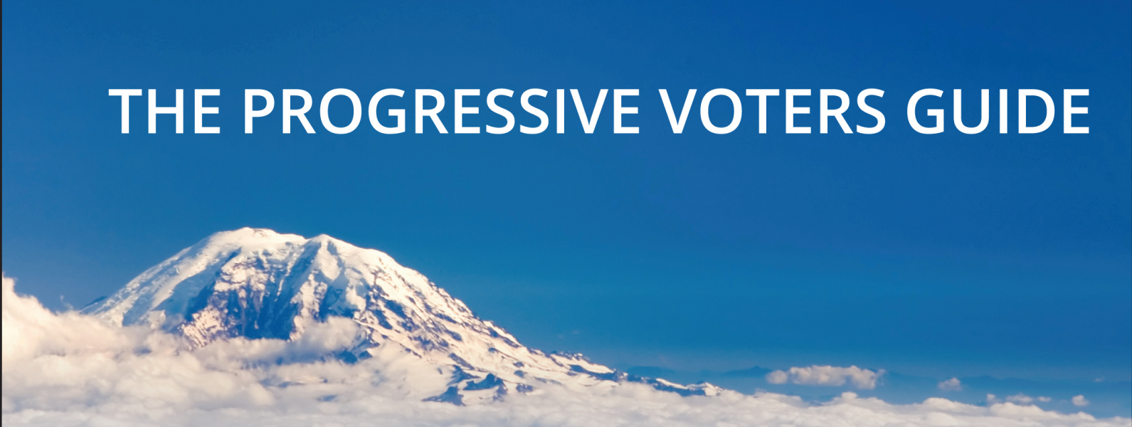 Progressive Voters Guide