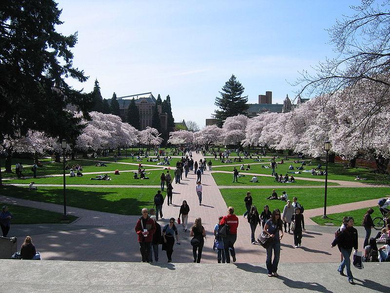 University of Washington's quad is shown in spring